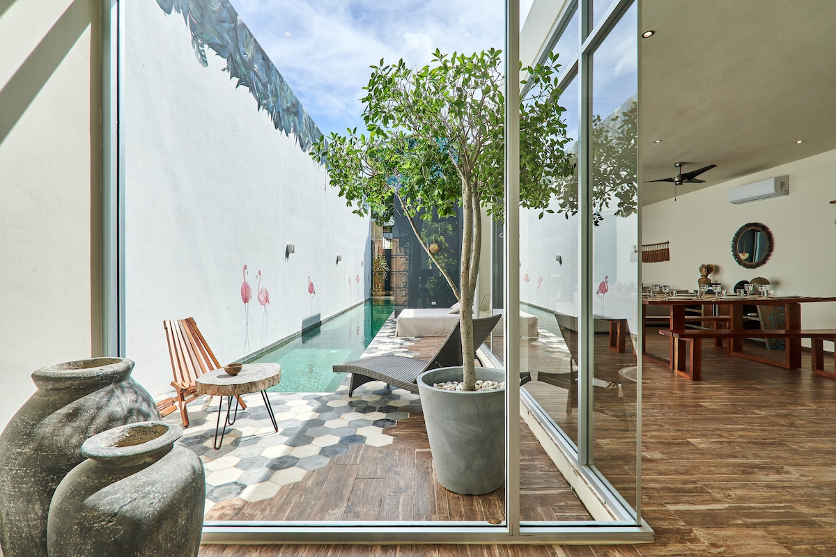 Casa Flamingo luxury swimming pool with lounge chairs and tropical garden perfect for family vacations